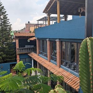 La Joya Azul Sma - Lgbtqs